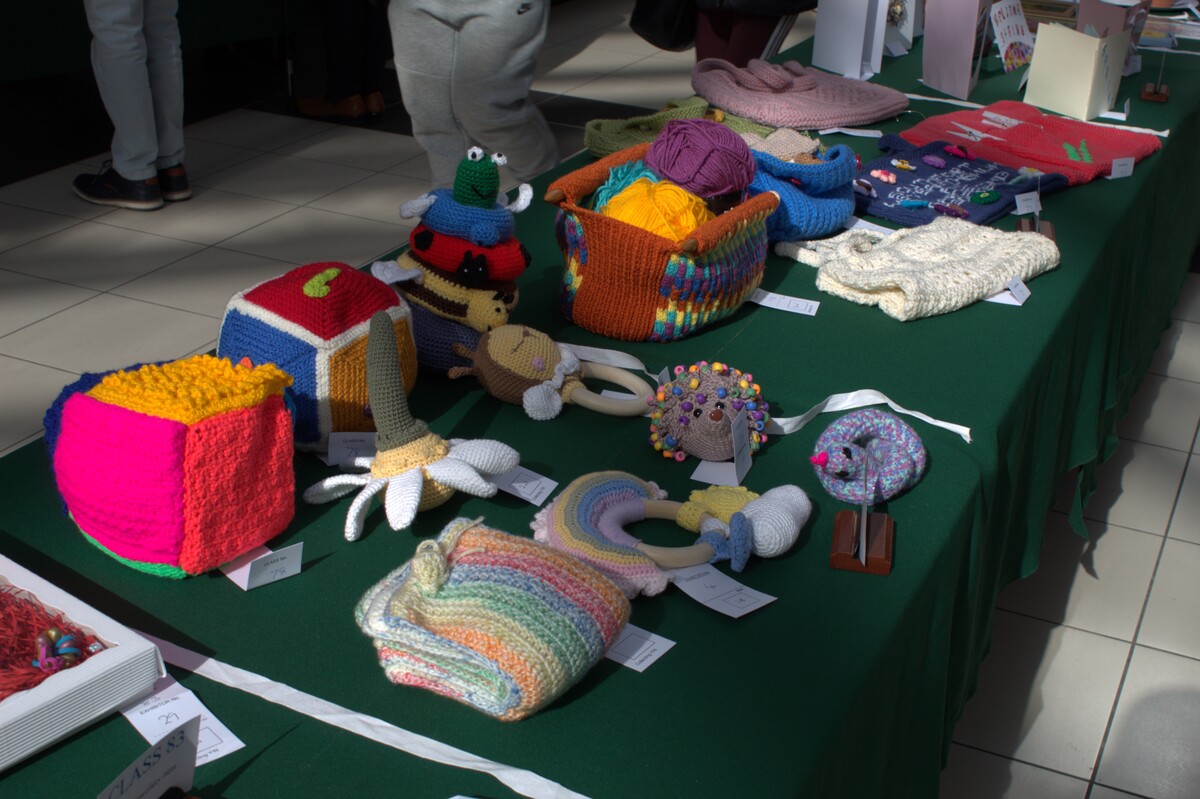 2026 Spring Show Crocheted sensory items for a baby class